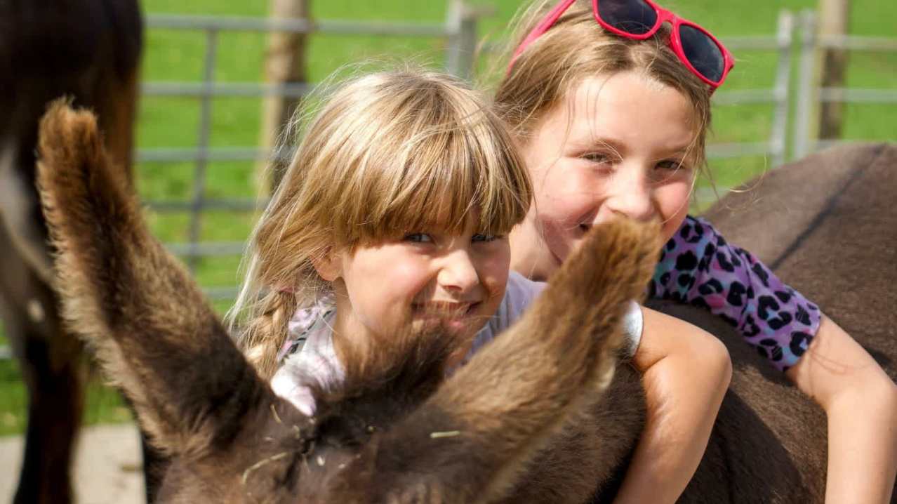 Hogshaw Farm & Wildlife Park - Featured Image - 11