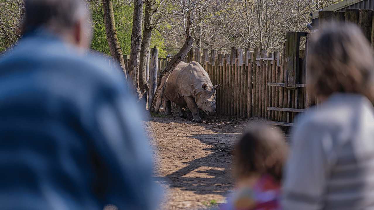 Chester Zoo - Featured Image - 6