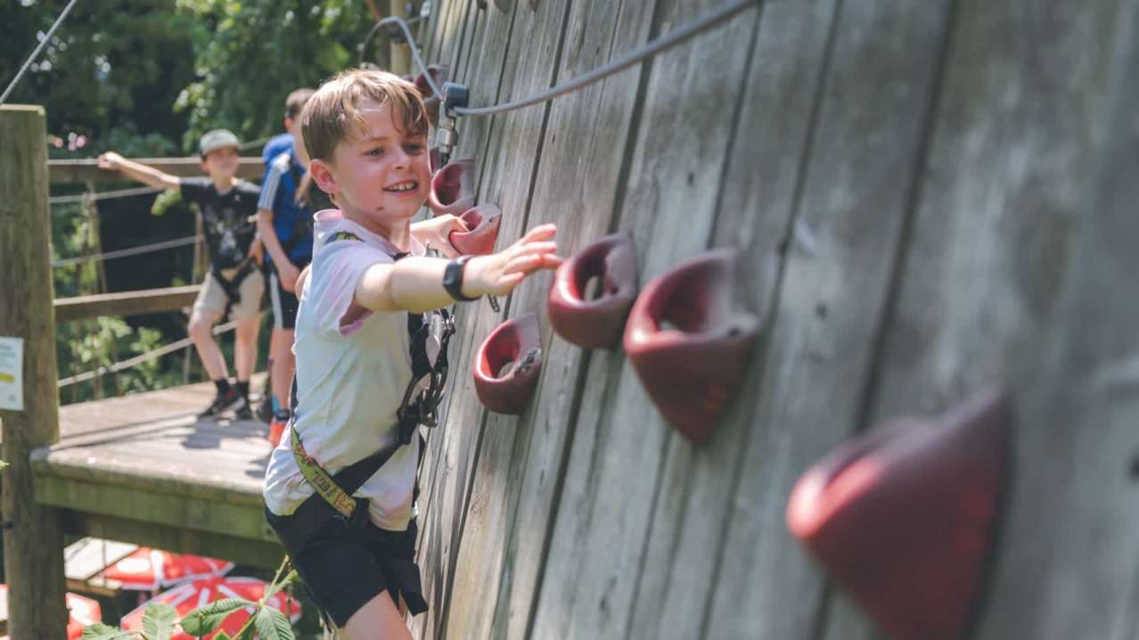 Wild Wood Adventure - Featured Image - 6