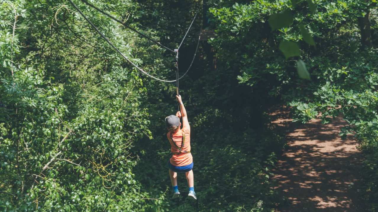 Wild Wood Adventure - Featured Image - 1