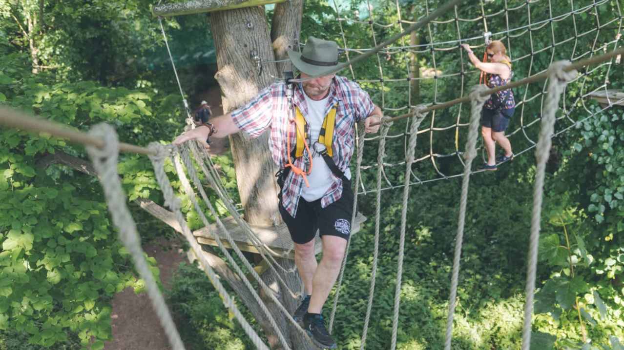 Wild Wood Adventure - Featured Image - 9