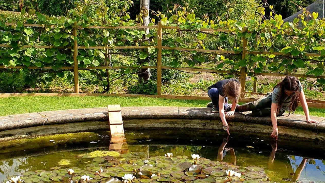 Painswick Rococo Garden - Featured Image - 3