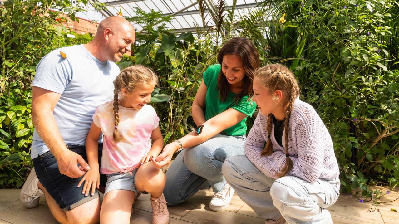 Tropical Butterfly House - Featured Image - 4