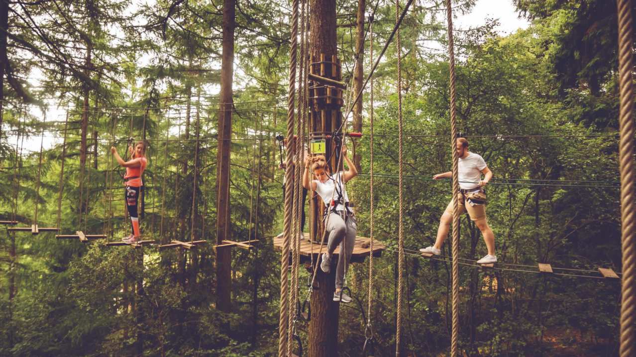 Go Ape Matfen - Featured Image - 4