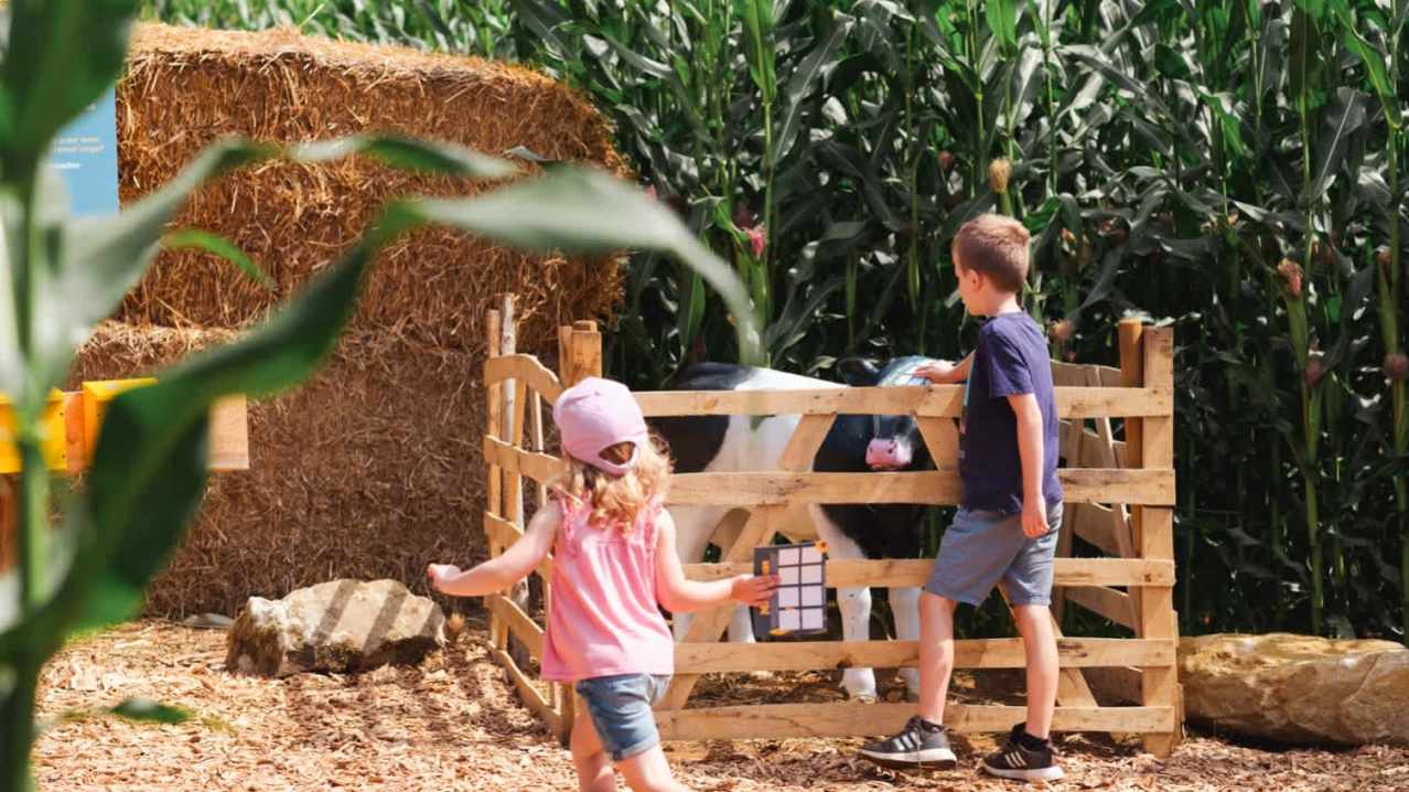 Cowdray's Maize Maze - Featured Image - 10 Cowdray's Maize Maze - Featured Image - 10