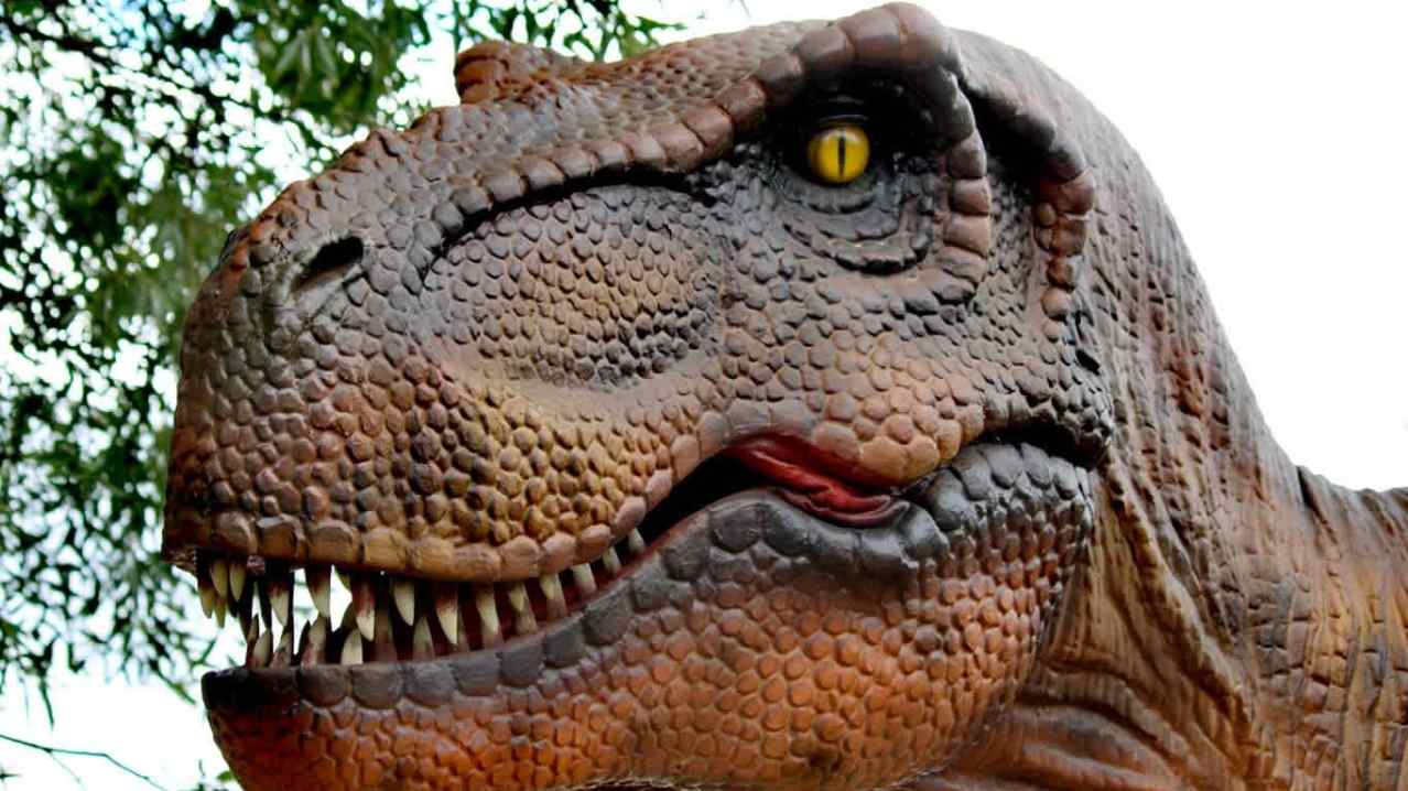Ark Wildlife & Dinosaur Park - Featured Image - 9 Ark Wildlife & Dinosaur Park - Featured Image - 9