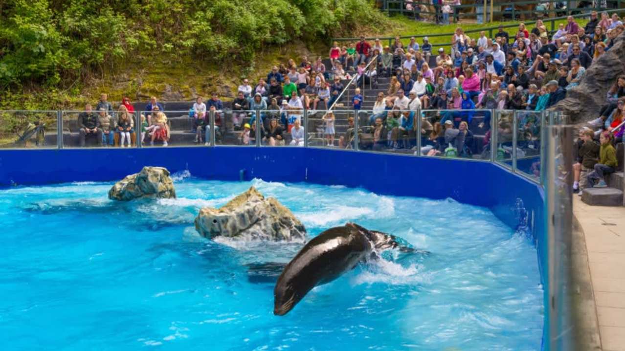 Combe Martin Wildlife & Dinosaur Park - Featured Image - 5