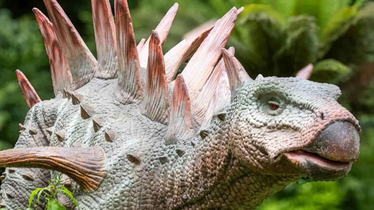 Combe Martin Wildlife & Dinosaur Park - Featured Image - 7