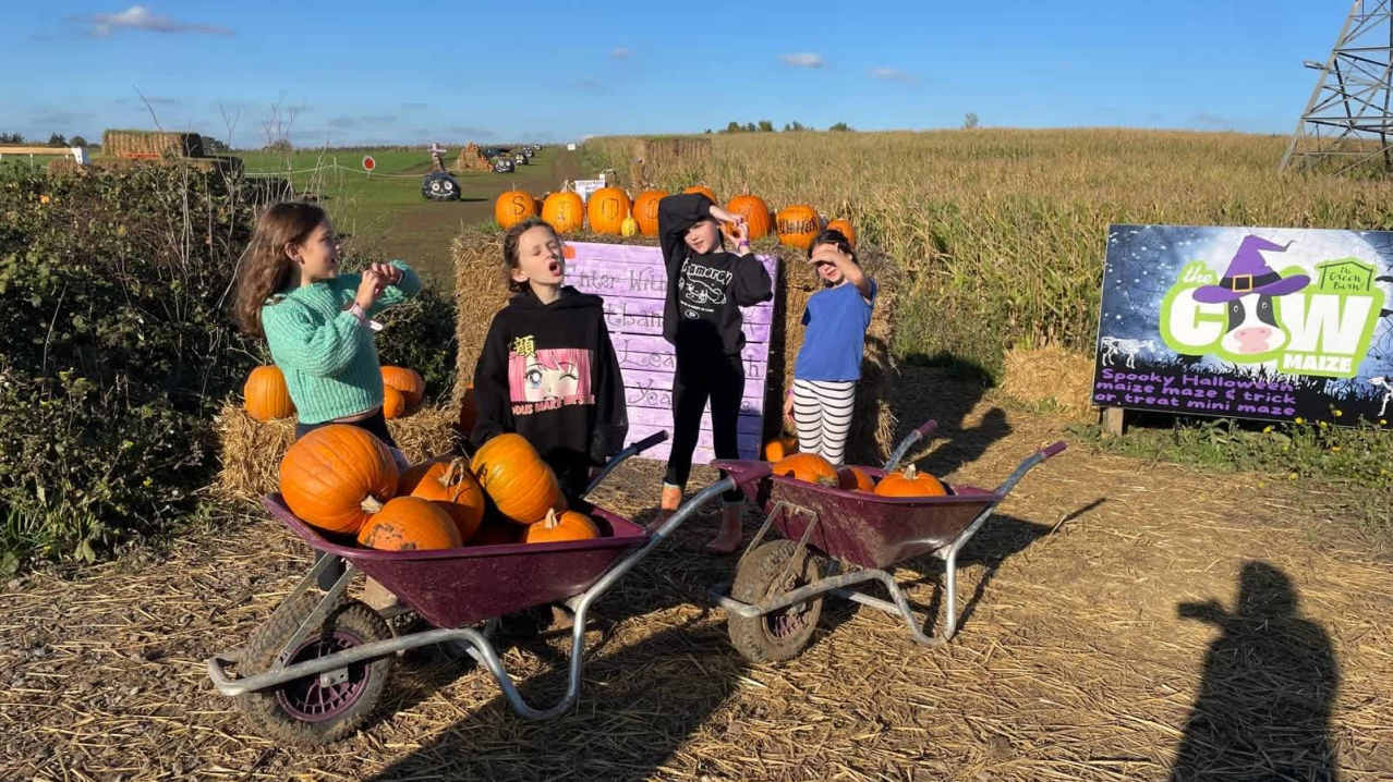 THE PUMPKIN FIELD- Green Barn Farm - Featured Image - 1 THE PUMPKIN FIELD- Green Barn Farm - Featured Image - 1