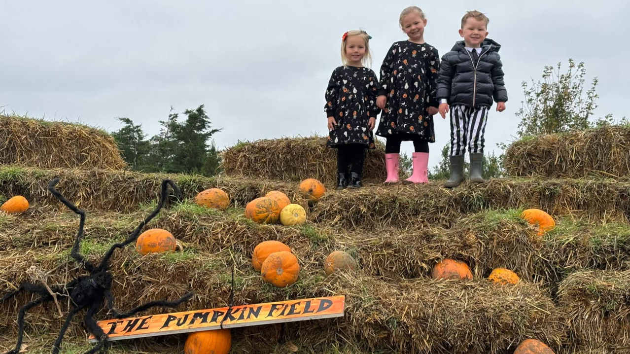 THE PUMPKIN FIELD- Green Barn Farm - Featured Image - 3 THE PUMPKIN FIELD- Green Barn Farm - Featured Image - 3