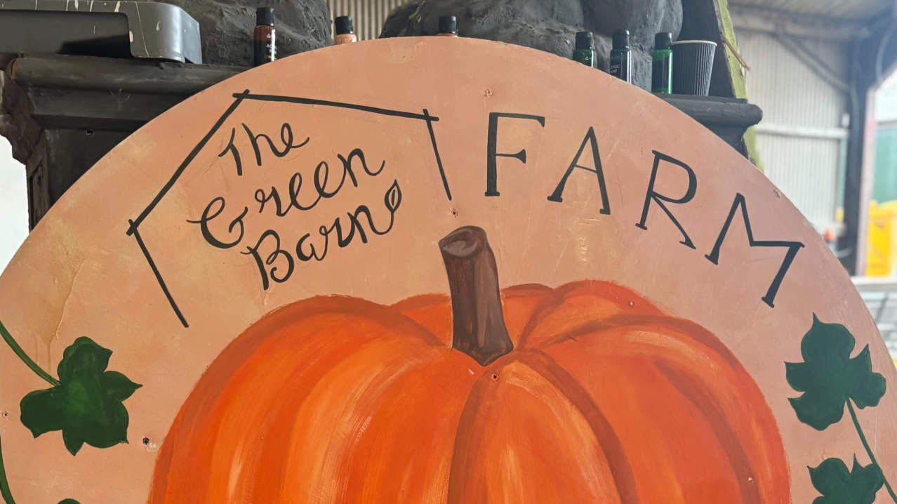THE PUMPKIN FIELD- Green Barn Farm - Featured Image - 2 THE PUMPKIN FIELD- Green Barn Farm - Featured Image - 2