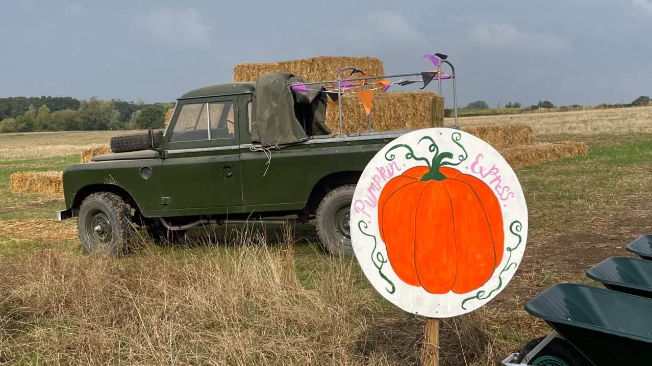 THE PUMPKIN FIELD- Green Barn Farm - Featured Image - 6 THE PUMPKIN FIELD- Green Barn Farm - Featured Image - 6