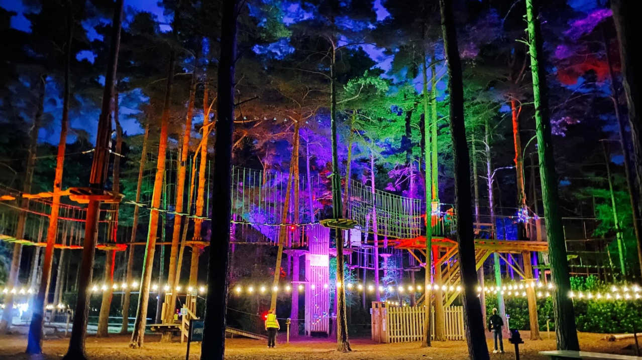 Go Ape Cannock - Featured Image - 2 Go Ape Cannock - Featured Image - 2