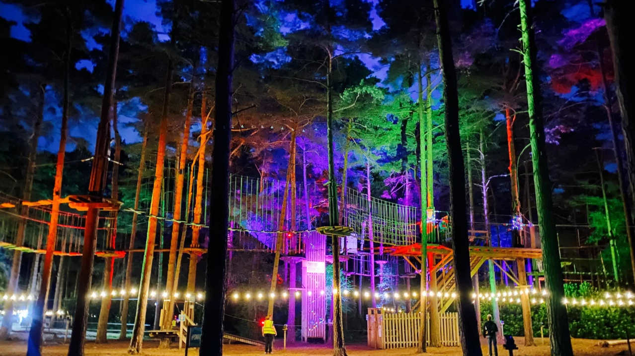 Go Ape Wyre - Featured Image - 2 Go Ape Wyre - Featured Image - 2