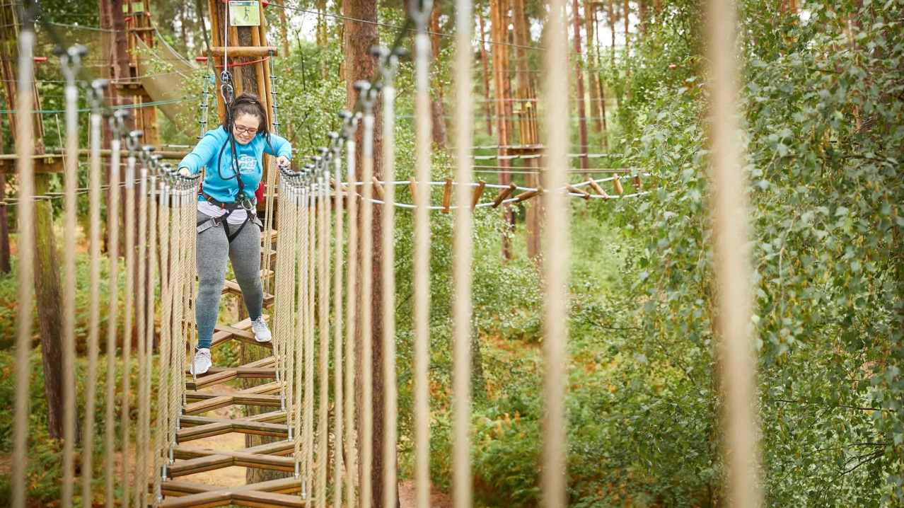 Go Ape Salcey Forest - Featured Image - 6