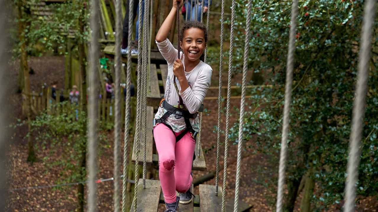 Go Ape Salcey Forest - Featured Image - 8