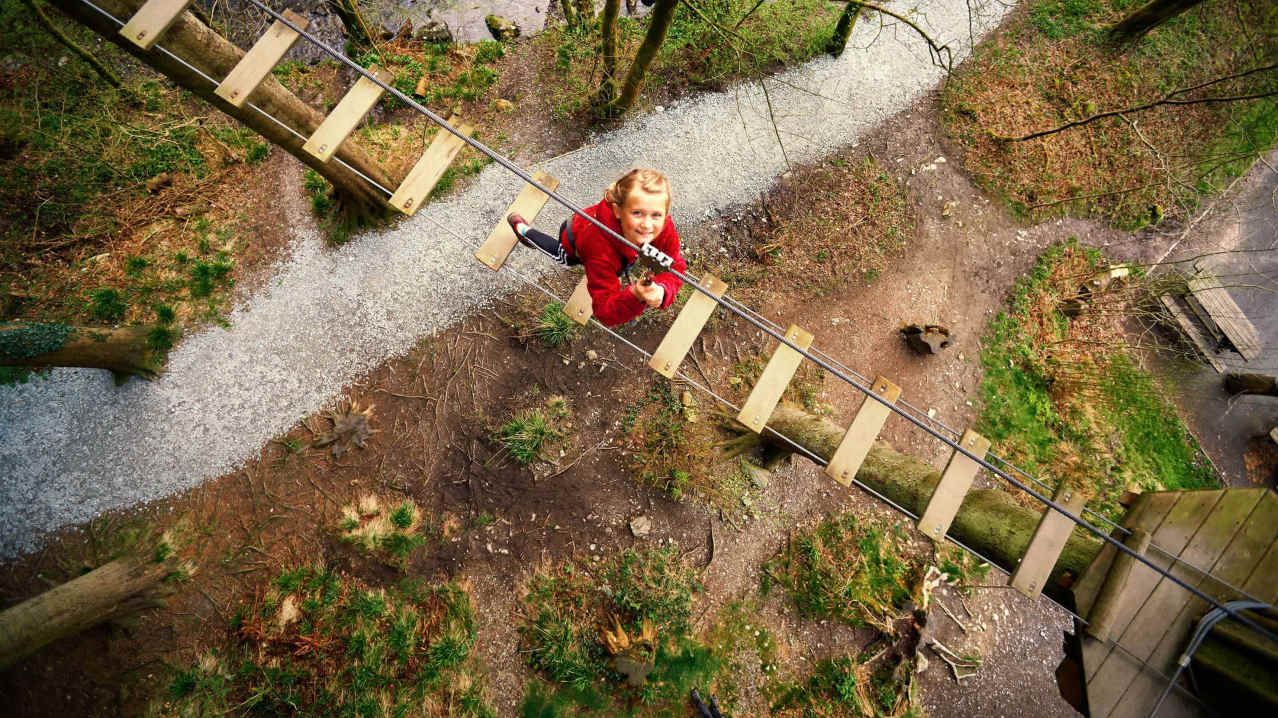Go Ape Salcey Forest - Featured Image - 9