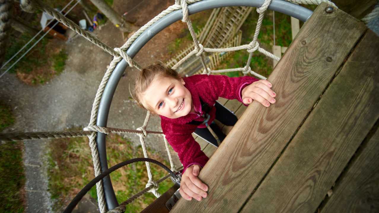 Go Ape Salcey Forest - Featured Image - 10
