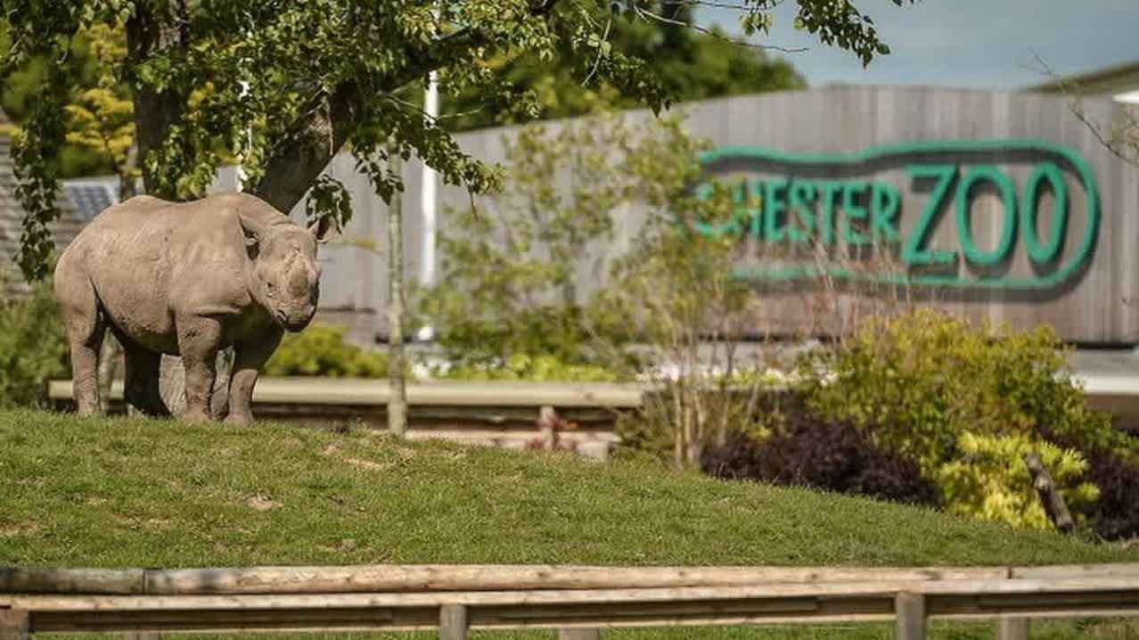 Chester Zoo - Featured Image - 2