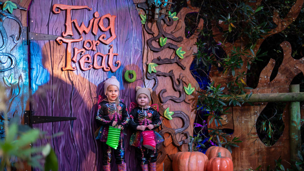 kids in front of twig or treat sign holding bags of sweets
