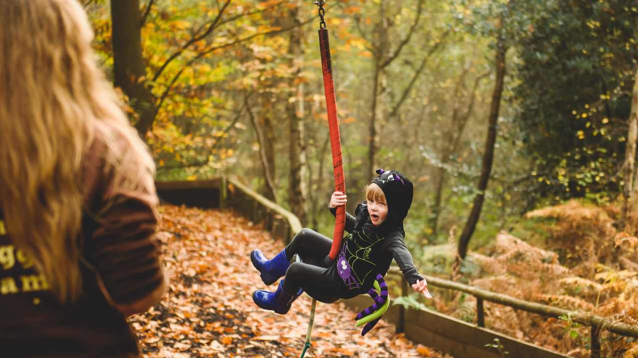 boy hanging off zip wire