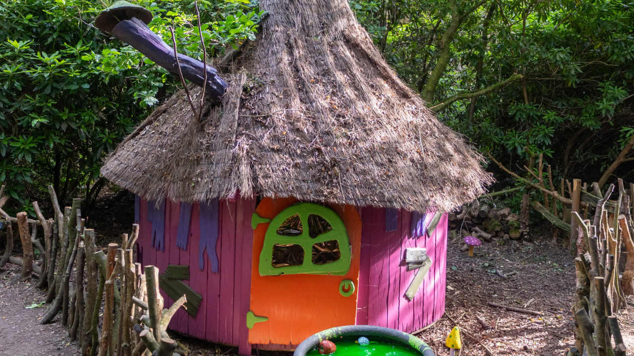 colourful hut in the middle of the woods