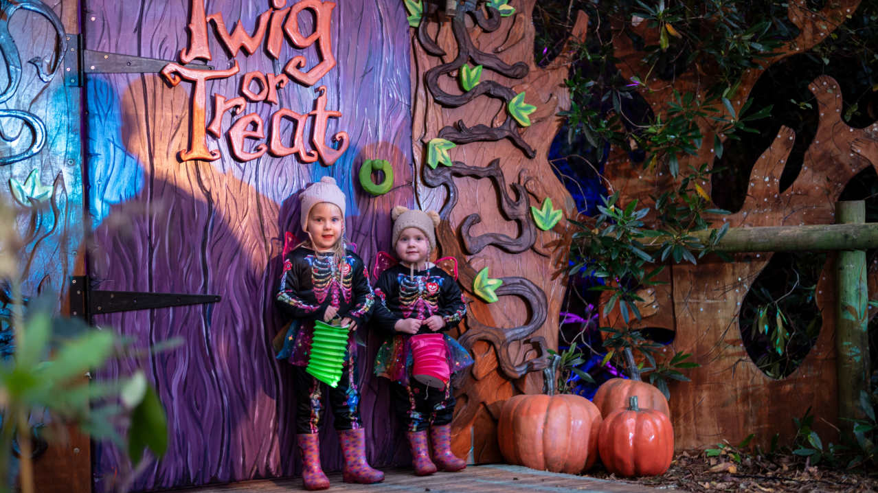 kids in front of twig or treat sign holding bags of sweets kids in front of twig or treat sign holding bags of sweets