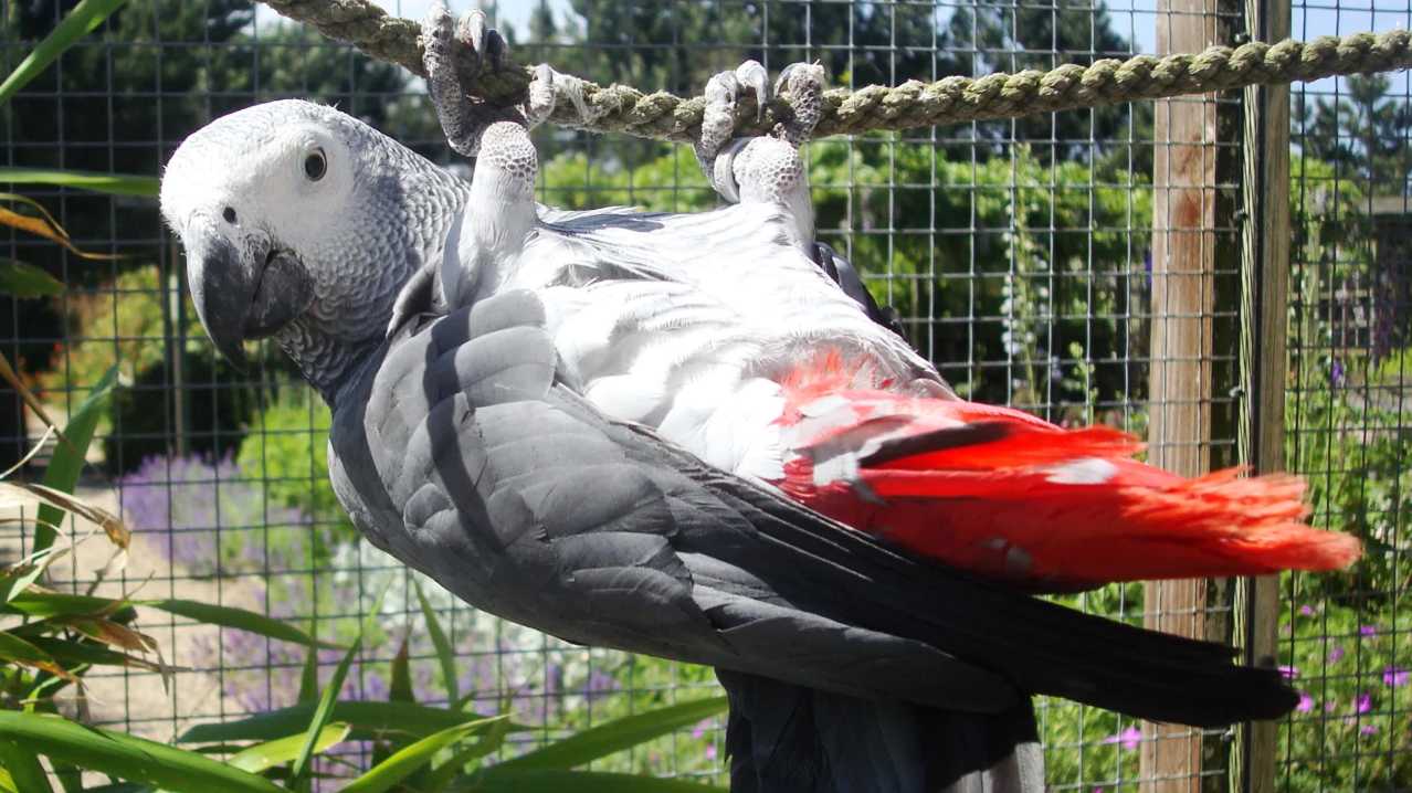 Filey Zoo - Featured Image - 3