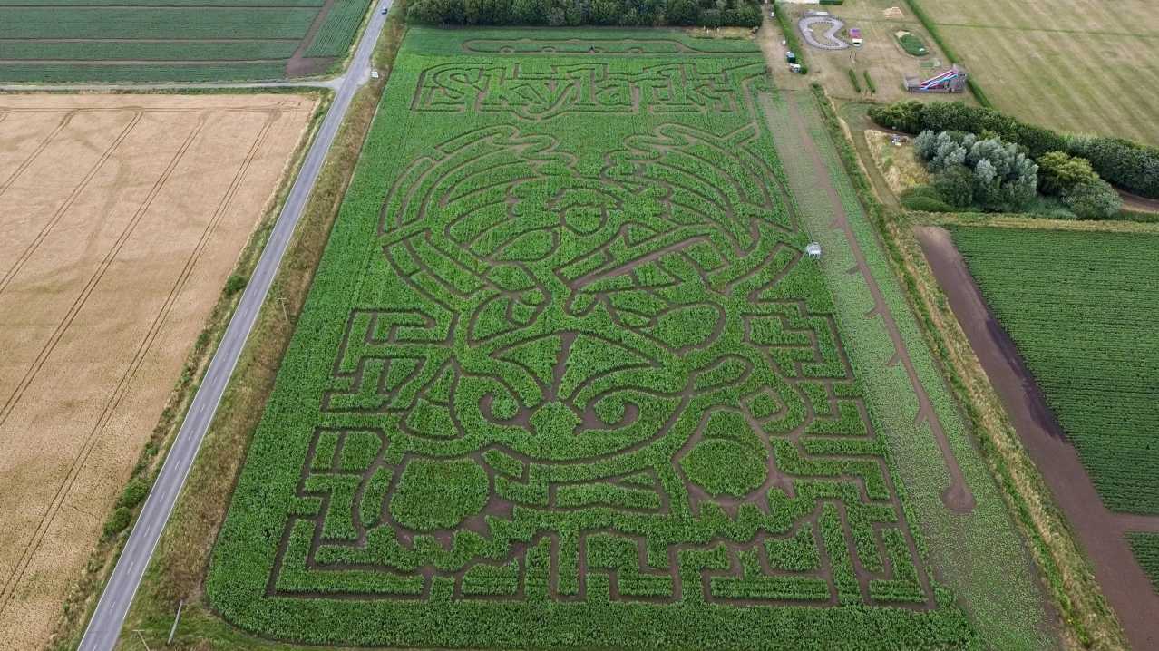 View of maize maze from above View of maize maze from above