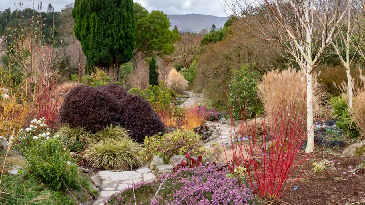 Bodnant Garden - National Trust - Featured Image - 2 Bodnant Garden - National Trust - Featured Image - 2
