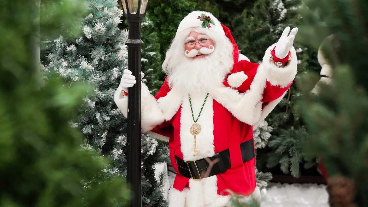 Santa