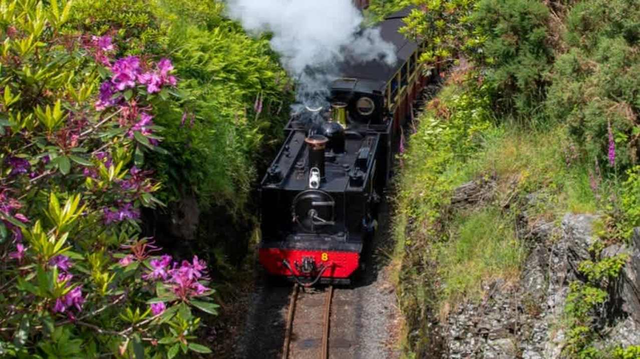 The Vale of Rheidol Railway - Featured Image - 6 The Vale of Rheidol Railway - Featured Image - 6
