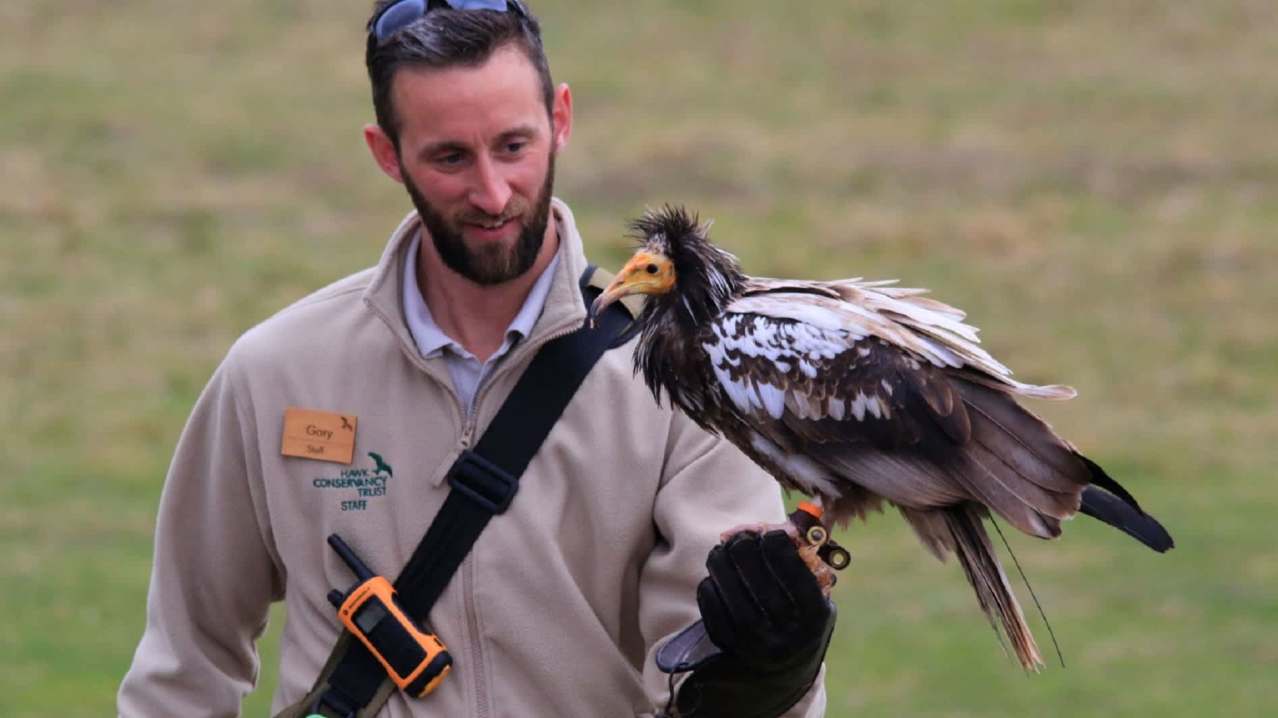 bird on mans hand