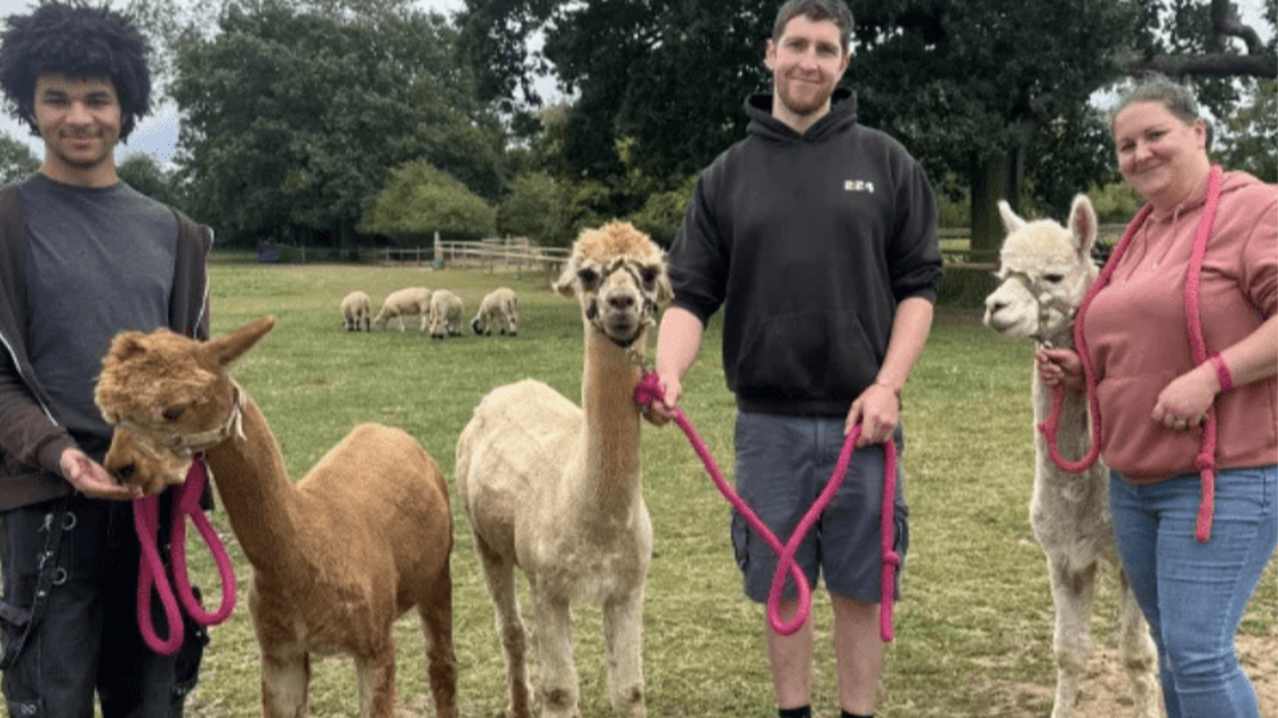 Lucky Tails Alpaca Farm - Featured Image - 3