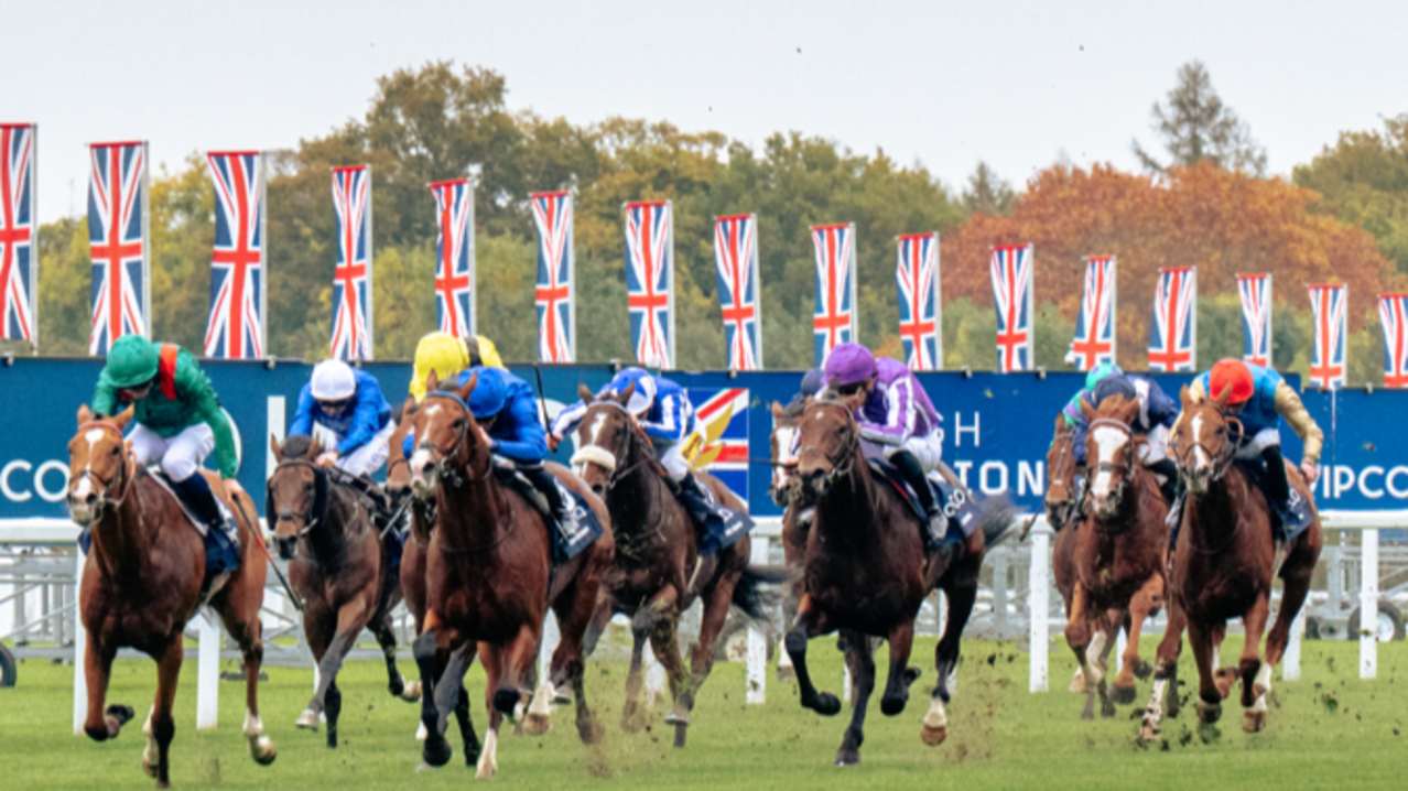 QIPCO British Champions Day - Featured Image - 1 QIPCO British Champions Day - Featured Image - 1