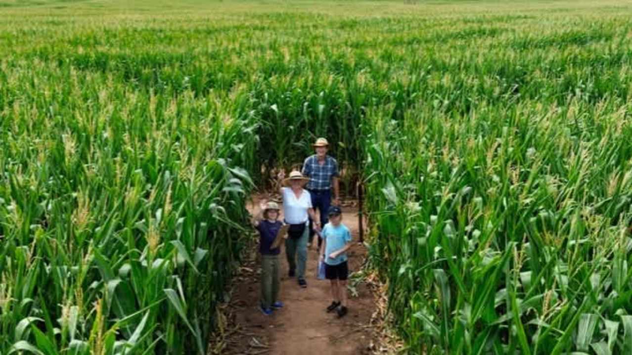 Elton Giant Mazes - Featured Image - 1