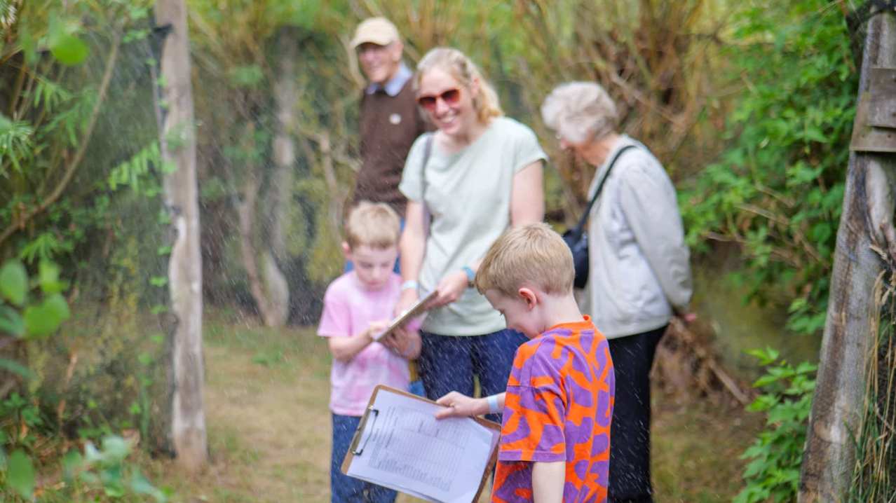 Elton Giant Mazes - Featured Image - 4
