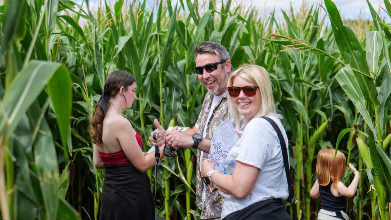 Elton Giant Mazes - Featured Image - 5