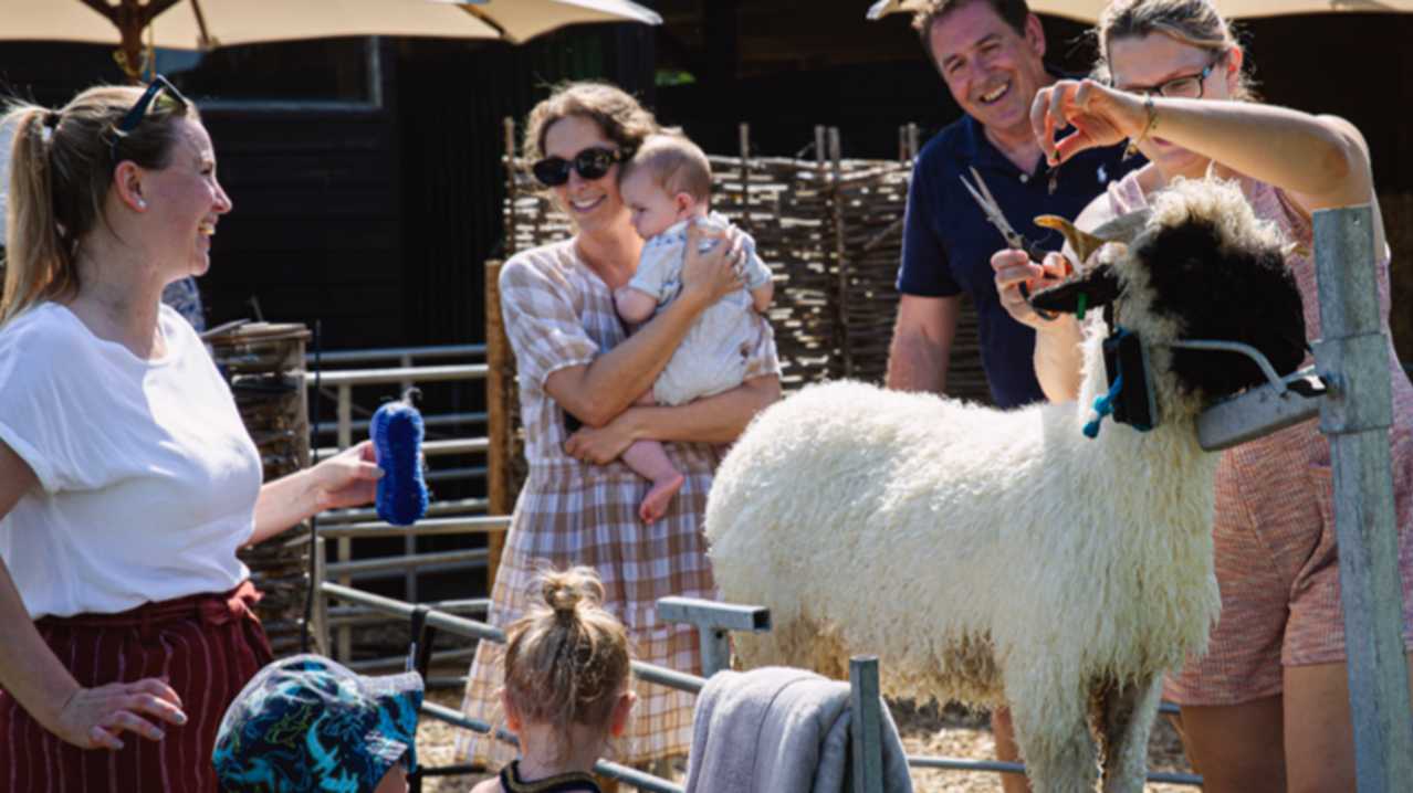 BLACKLION Farm - Featured Image - 2