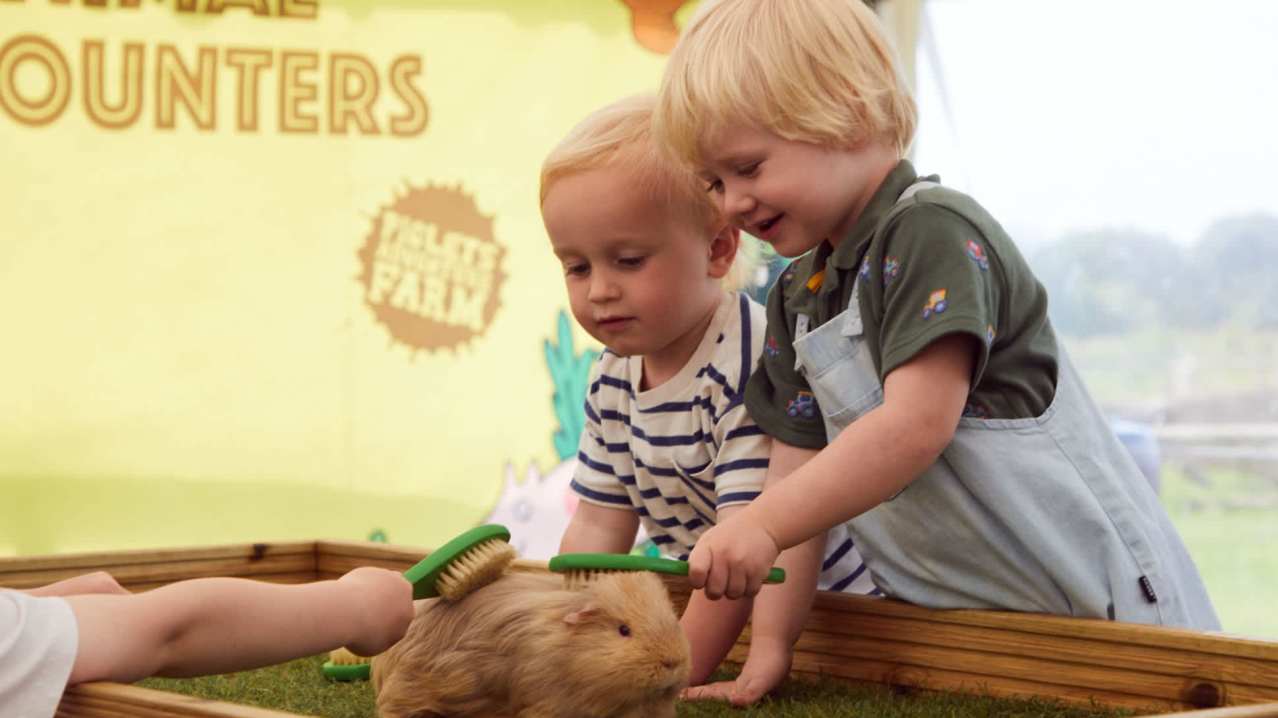 Piglets Adventure Farm Park - Featured Image - 7