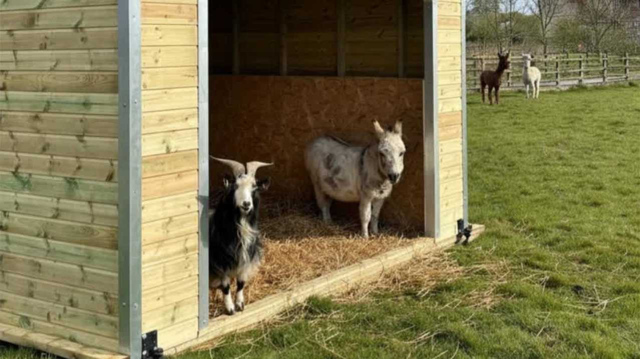 Thorpe Farm Centre - Featured Image - 6