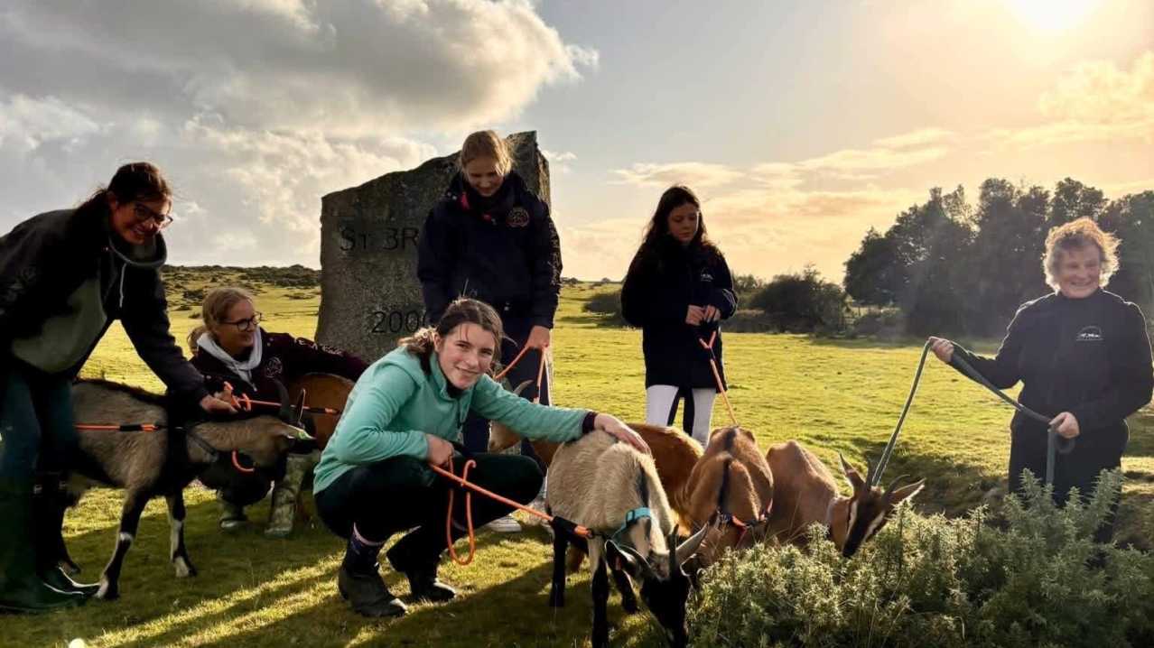 Hallagenna Farm park and horse riding - Featured Image - 2