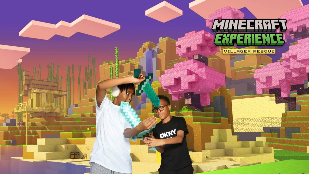 Minecraft experience