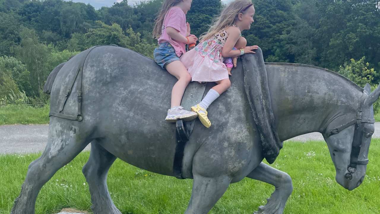 coal mining horse