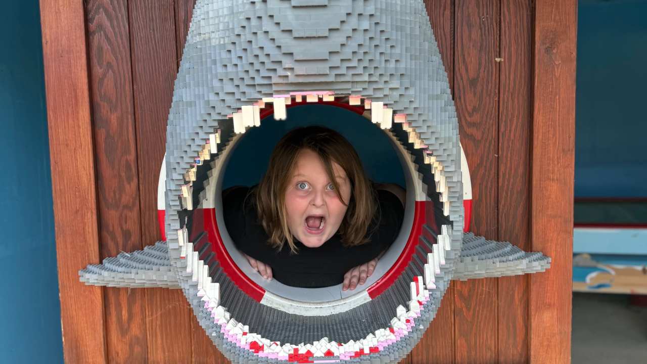 I’ve been eaten by a shark! I’ve been eaten by a shark!