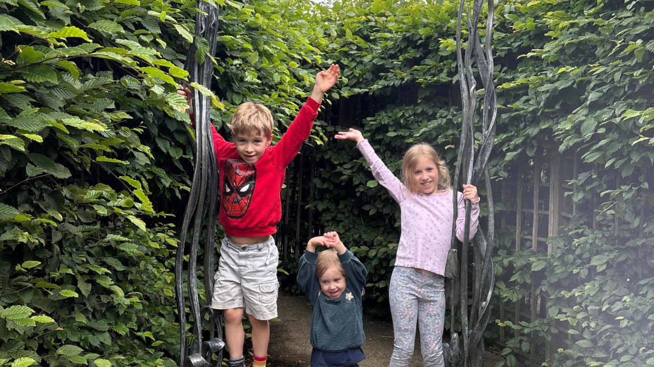 The centre of the oldest hedge maze in Britain
