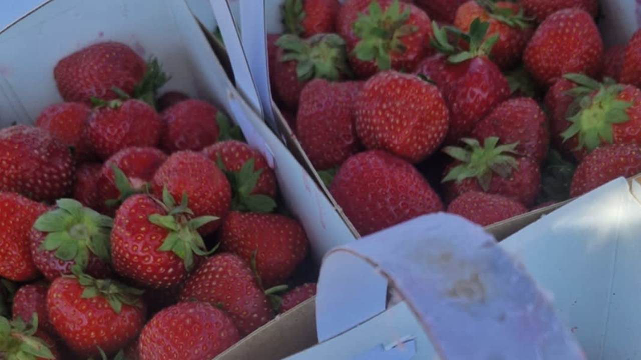 The most expensive fruit we will ever buy The most expensive fruit we will ever buy