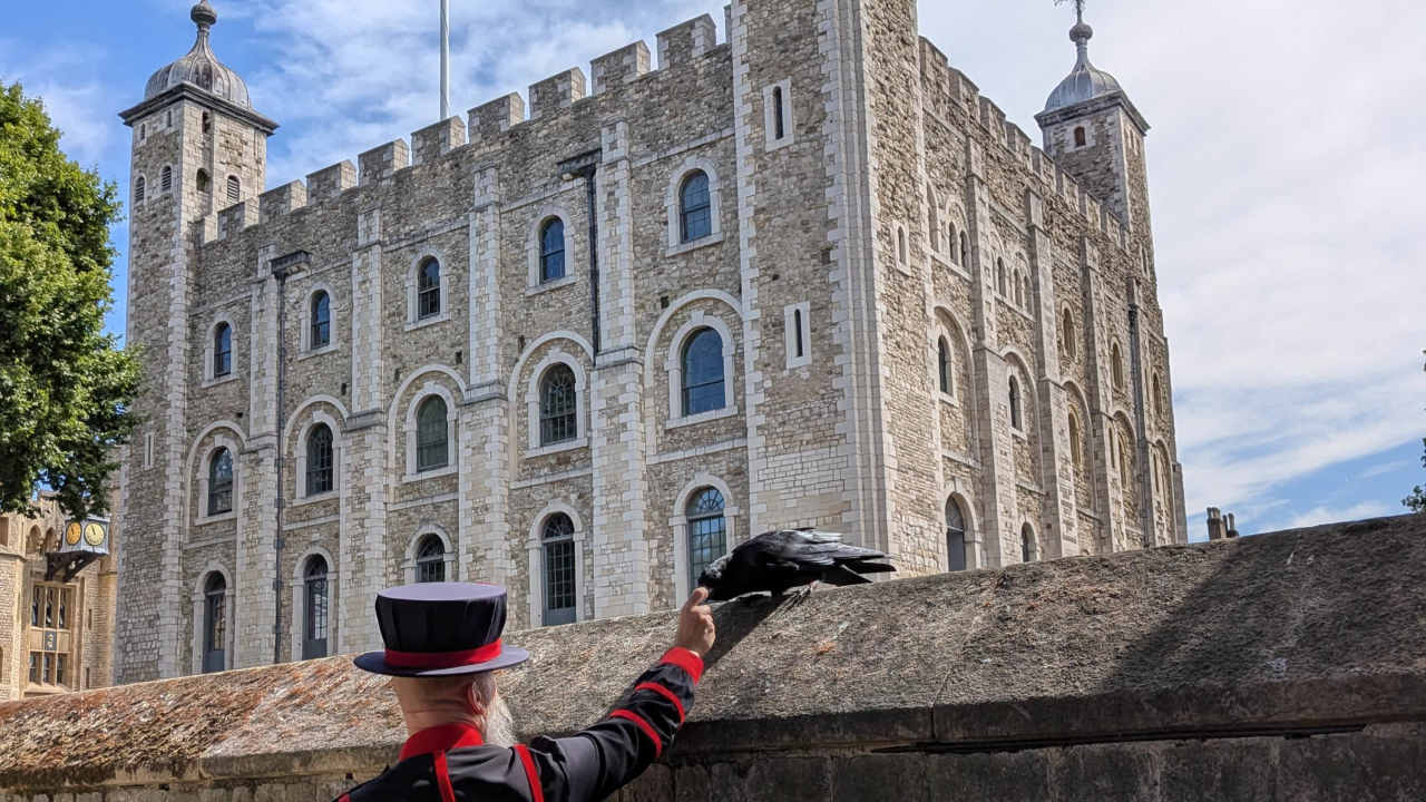 Yeoman Guard feeding raven