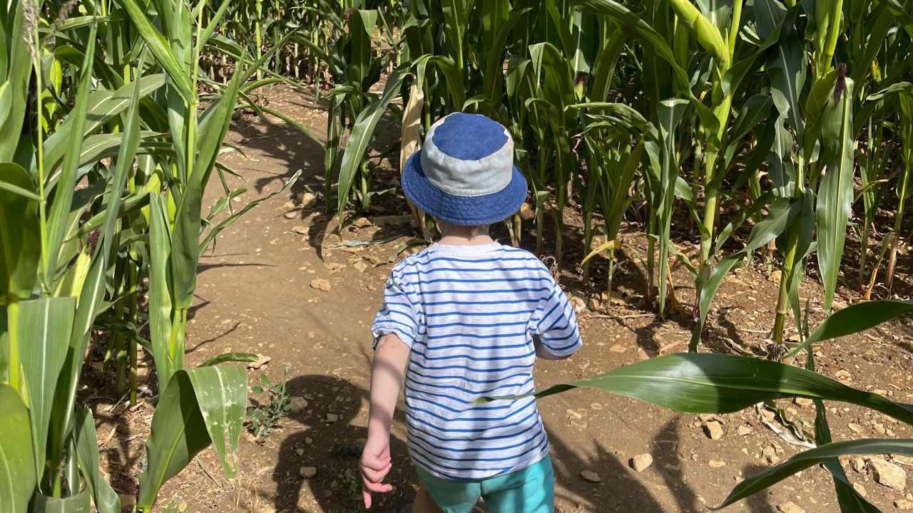 The Maze!