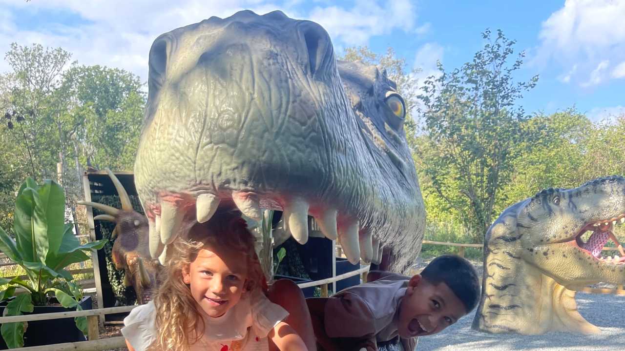 Dinosaur Forest
